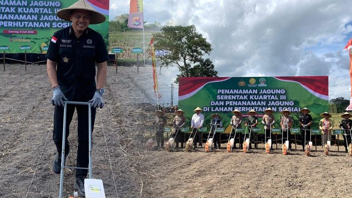 KOORDINATOR BIDANG INTELIJEN, DR. I PUTU EKA SUYANTHA, S.H.,M.H. MEWAKILI KAJATI NTB MENGIKUTI PENANAMAN JAGUNG SERENTAK DI LAHAN PERHUTANAN SOSIAL DALAM RANGKA MENDUKUNG SWASEMBADA PANGAN TAHUN 2025