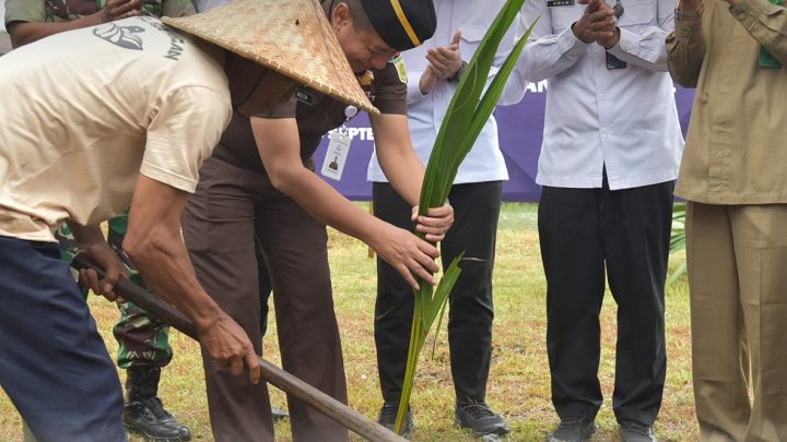 WAKAJATI NTB MELAKUKAN PENANAMAN POHON KELAPA SERENTAK BERSAMA DENGAN UNSUR FORKOPIMDA NTB YANG DICANANGKAN OLEH KEMENTERIAN IMIGRASI DAN PEMASYARAKATAN BERTEMPAT DI LAPAS KELAS IIA LOMBOK BARAT